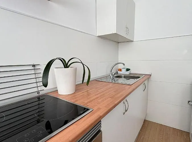 Grupo Limcotel Al-nasir Centro Apartment *